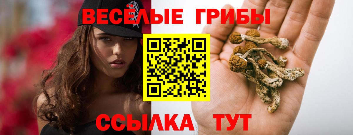 Галлюциногенные грибы ЛСД  Псилоцибиновые грибы прущие грибы  купить наркотики цена  Вход с VPN  Рославль 